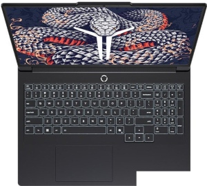 Игровой ноутбук Lenovo Legion Y9000P IAX10 83F40002CD