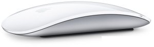 Мышь Apple Magic Mouse 2 (серебристый)
