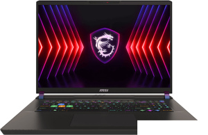 Игровой ноутбук MSI Vector 17 HX A14VGG-238RU