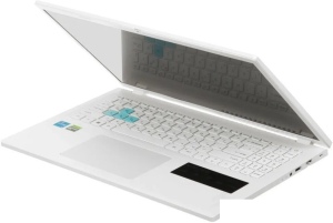 Игровой ноутбук Acer Nitro Lite NL16-71G-52JH NH.D61CD.003