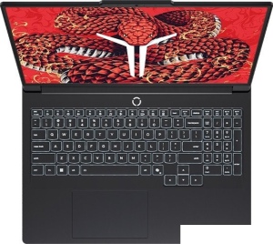 Игровой ноутбук Lenovo Legion R9000P ADR10 83LV0006CD 16 ГБ