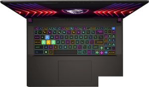 Игровой ноутбук MSI Vector 17 HX A14VGG-238RU
