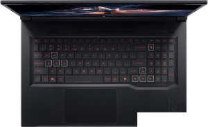 Игровой ноутбук Acer Nitro V 17 AI ANV17-41-R6A6 NH.QYVCD.005 Win 11 Pro